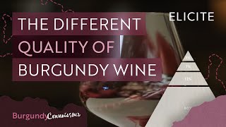 How To Tell The Quality Of A Burgundy Wine [upl. by Kassey]