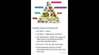 Food Pyramid E114 Food Awareness [upl. by Curt]