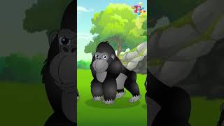 தமிழ் குழந்தைகள் பாடல்  Jungle Animals Song  Tamil Kids Song  tamilrhymes [upl. by Ahsenrat]