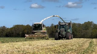 Ensilage de seigle avec l’ETA le forestierGalardon [upl. by Yelreveb]