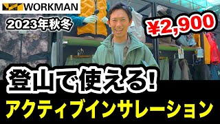 【登山で使えるワークマン】登山YouTuberおすすめアイテム 2023年秋冬登山ウェアと登山用品を紹介レビュー [upl. by Neirb]