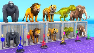 Cow Elephant Tiger Gorilla Lion T rex Guess The Right Key ESCAPE ROOM CHALLENGE Animals Cage Game [upl. by Hanleigh652]