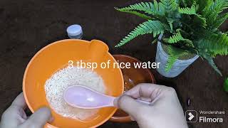 Rice face serumRice water face serumwinter face serumhomemade rice face serum [upl. by Zorina383]