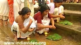 Karkidaka Vavu Bali in Aluva Manappuram  Hindu ritual for remembering ancestors [upl. by Alodi]