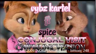 Vybz Kartel Ft Spice Conjugal Visit RawCHIPMUNK VERSION [upl. by Liuqnoj188]