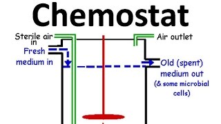 Chemostat [upl. by Levin]