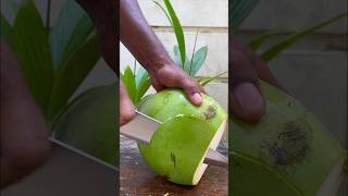 Big Green Soft Coconut cuttingskills softciconut [upl. by Aubarta950]