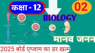 मानव जनन  HumanReproduction Gametogenesis  class12biology  upbiharboard [upl. by Eryt]