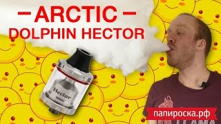 Arctic Dolphin Hector RTA  Цена решает 💰 [upl. by Alded]