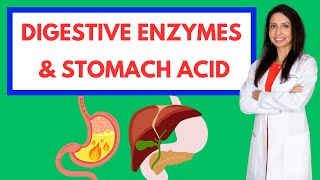 The Power of Digestive Enzymes amp Stomach Acid Fix Bloating Gas and Reflux [upl. by Knight600]