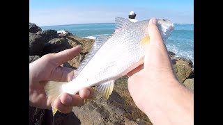 Surf fishing Oxnard and Ventura [upl. by Andree496]