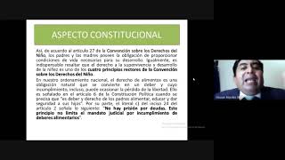 La liquidación de pensiones devengadas en los procesos de alimentos [upl. by Assirok]