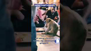 எனக்கு பிடித்த காணொளி ⁉️shorts shortsfeed ytshorts trending love [upl. by Fortier]