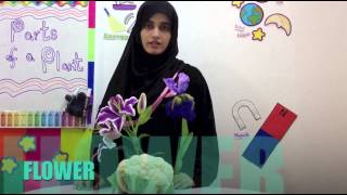 Urdu Parts of a Plant Science Video for Kids Grade 1 2 3 [upl. by Luke]