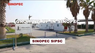 Growing up in Sinopec [upl. by Deuno220]