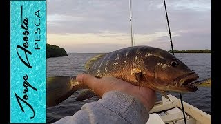 Pesca con currican en los esteros de El Maviri Sinaloa [upl. by Massey520]