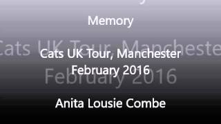 Cats UK Tour Memory  Anita Louise Combe [upl. by Yrhcaz]