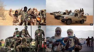 Comment les rebelles et les tērrorìstes sont venus au Mali [upl. by Eisej]