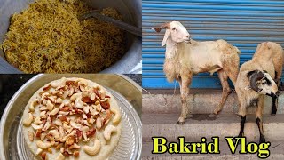 Bakrid Vlog 2024  EID AL ADHA Celebration in Qatar ampChennai  பக்ரீத் பெருநாள் vlog youtube [upl. by Rici]