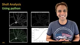 341  Sholl Analysis using python coding [upl. by Amand]