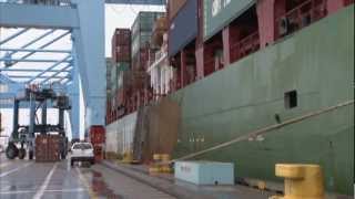 NMSA  Longshore Safety Video 8  Fall from Containers [upl. by Narhem708]