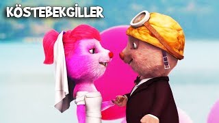 Kösteban ile Köstepem Evlendi  Köstebekgiller Perili Orman Animasyon Filmi [upl. by Nagah]