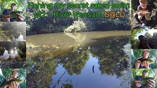 Waggler Fishing my secret raked swim pt2  River Wensum [upl. by Cutty]