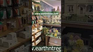 the biggest dollhouse store in New England dollhouseminiatures shopping dollhouse haul store [upl. by Naujud]