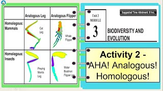 Science 10 Quarter 3 Module 3 Activity 2 AHA  Analogous Homologous [upl. by Lurette]