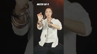 Hung Kuen Discover the Ancient Chinese Martial Art with Master Luo Yi [upl. by Liek]