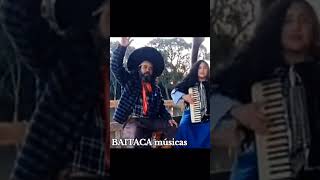 Baitaca músicas gaucho baitaca [upl. by Enirok]