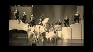 Max Raabe amp Palast Orchester Ich hab´ ne Leidenschaft [upl. by Anamor]