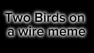 Two birds on a wire meme jacqueline and a new character named Kiki [upl. by Aidnyl]