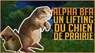 Battle For Azeroth ALPHA  La Refonte des Anciens Modèles  datamining [upl. by Sumerlin]