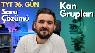 Eş Baskınlık Çok Alellilik Soru Çözümü  39 Günde TYT Biyoloji Kampı  36 GÜN  yks2025 [upl. by Nade]