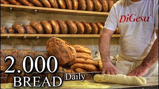 ART OF BREAD MAKIN⎮2 000 Pieces Of Bread Daily [upl. by Allesiram]