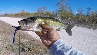 EVERGLADES Fishing BEST WORMS EVER [upl. by Joelie]