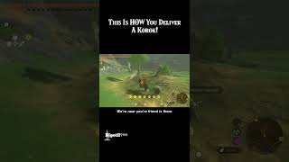 This Is HOW You Deliver A Korok TotK Shorts [upl. by Volnay607]