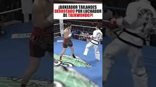 ¡El descarado Taekwondista ha sido castigado severamente [upl. by Slinkman672]