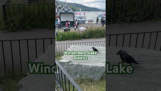 Windermere Lake District shorts uktravelguide travel uk [upl. by Theta]