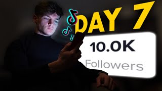 I Tried Growing A TikTok Theme Page From 0  10K Followers In 7 days [upl. by Ennyletak220]