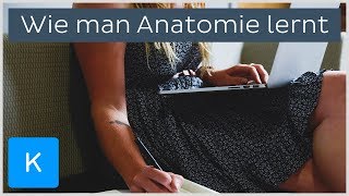 Anatomie lernen leicht gemacht Die besten Tipps und Tricks  Kenhub [upl. by Inttirb839]