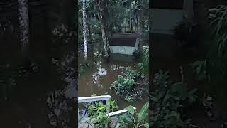 Homosassa Florida disaster flood dropped 3 ft already [upl. by Hulda]