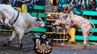 Los Toros que Huelen a Pólvora Ganadería Estrellas del Sur de Reselio García en Cocucho Michoacan [upl. by Arannahs]