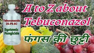 Tebuconazole 259 EC फंगस का सफाया  A to z about Tebuconazol Fungicide  bagwanikibaat [upl. by Ayikat]