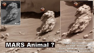 MARS Animal Spotted Dragon Ridge ArtAlienTV [upl. by Sitto163]