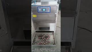 VERFOODSOLUTIONS Automatic Pearl Onions Peeling Machine Test for Australia Customer [upl. by Nnylylloh477]