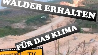 Wälder erhalten für den Klimaschutz [upl. by Keyte]