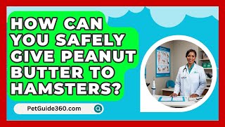 How Can You Safely Give Peanut Butter to Hamsters  PetGuide360com [upl. by Ahsienad708]