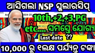 ଆସିଗଲା NSP ସ୍କଲାରସିପ୍ 2024National scholarship 2024National scholarship apply last dateNSPOSSP [upl. by Aytida531]